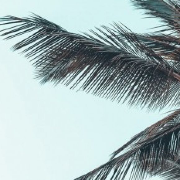 Profile photo of Gigi