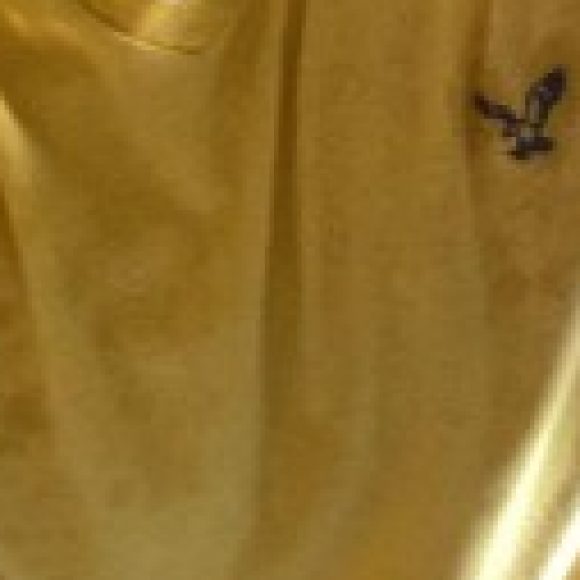 Profile photo of David