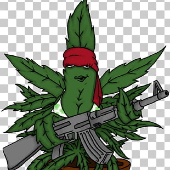 Profile photo of Alessio