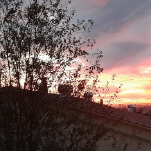 Profile photo of Jeremy footman