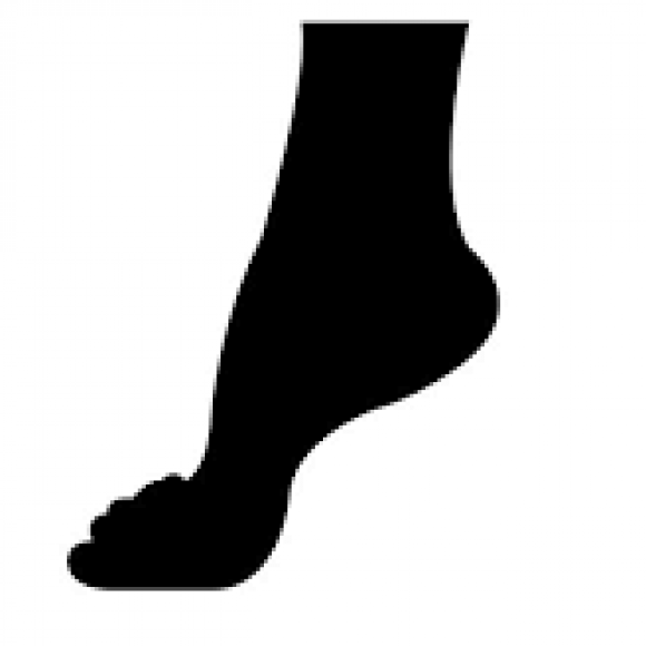 Profile photo of Austin