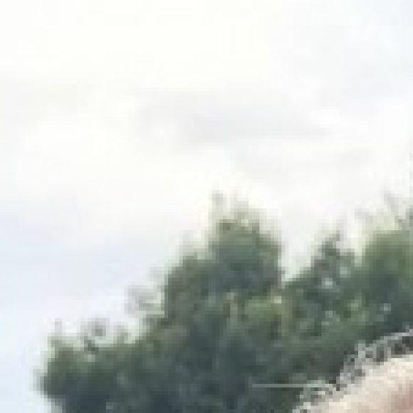 Profile photo of James Woodward