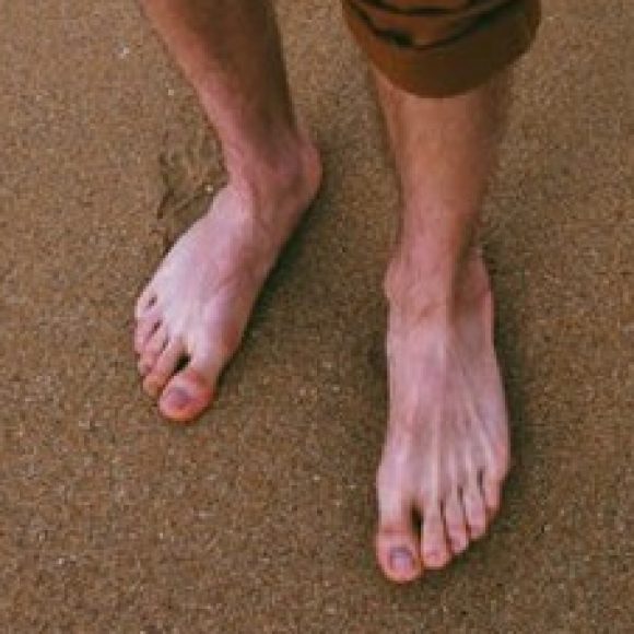 Profile photo of David
