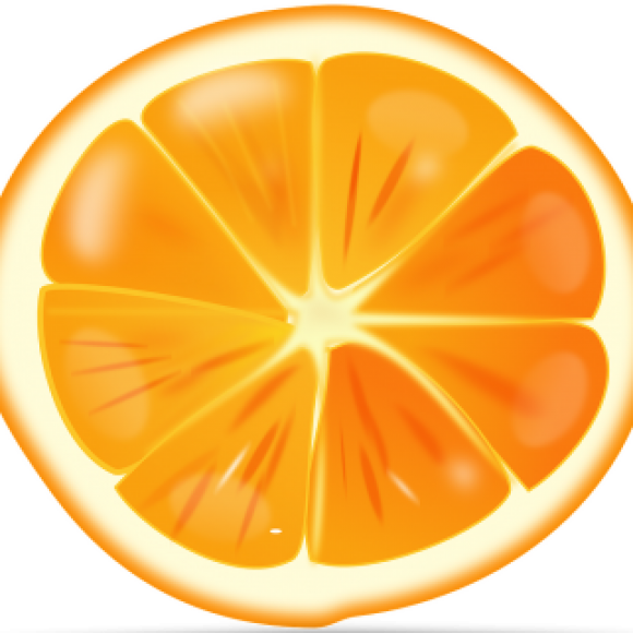 Profile photo of Karl