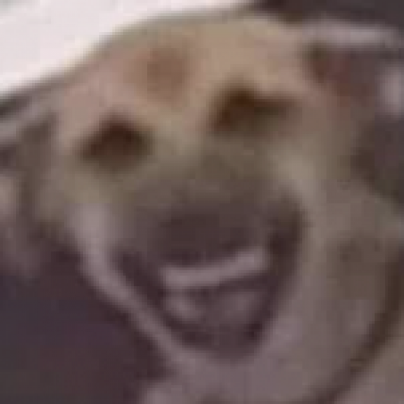 Profile photo of Daddy Dolo