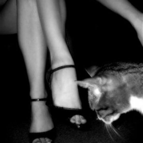 Profile photo of XerxKnox