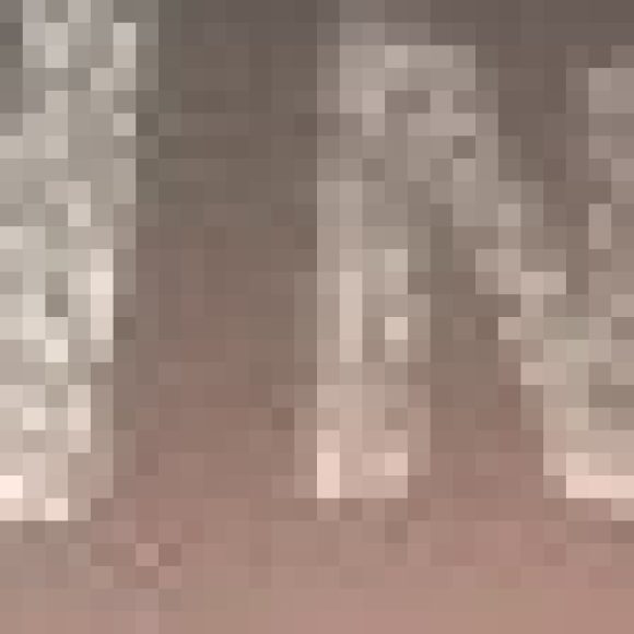 Profile photo of Brian