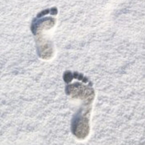 Profile photo of Dori & Toes