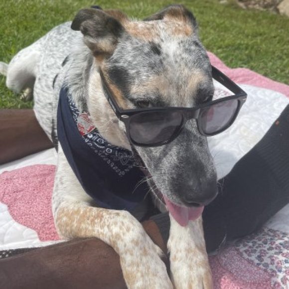 Profile photo of Trey