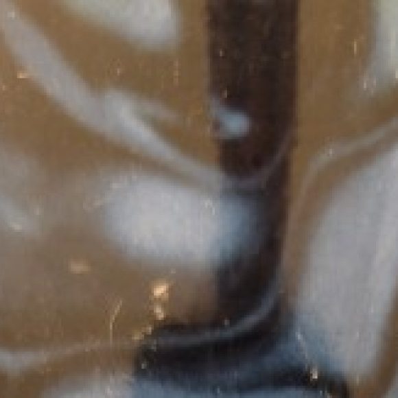 Profile photo of Raul