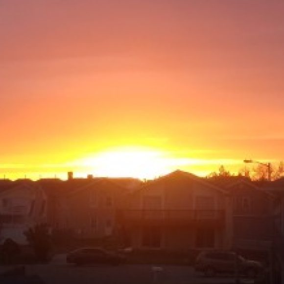 Profile photo of Mel