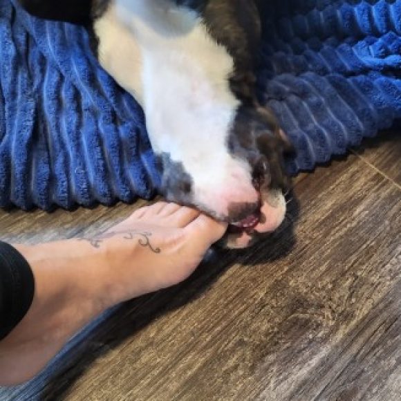 Profile photo of Samantha