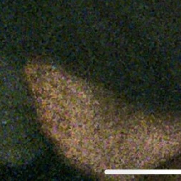 Profile photo of Kevin