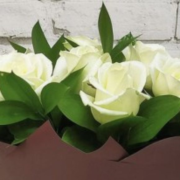 Profile photo of Aeria