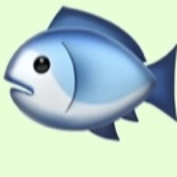 Profile photo of Fish