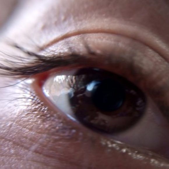 Profile photo of Eduardo