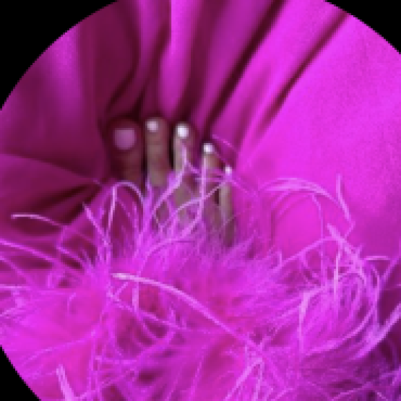 Profile photo of Princess Mish