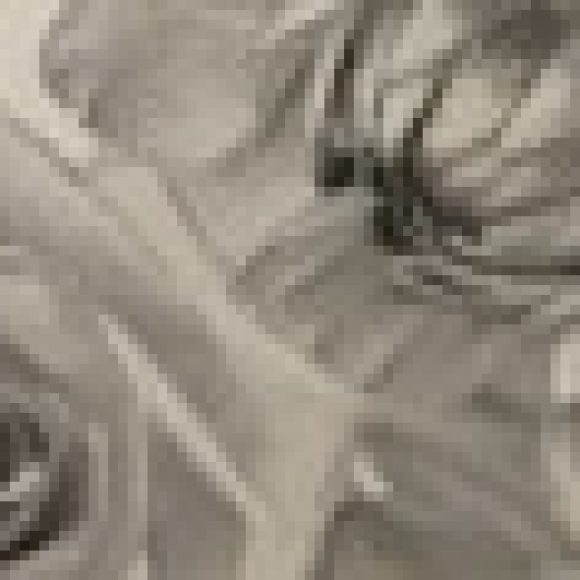 Profile photo of Hidden goddess