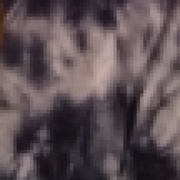Profile photo of Gracie