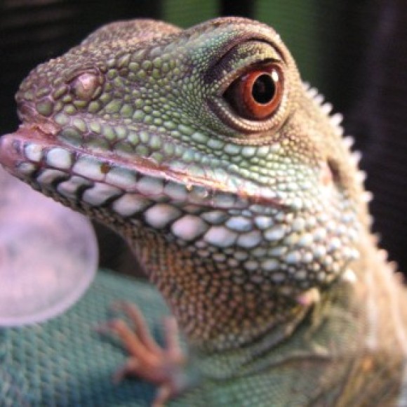 Profile photo of pilar