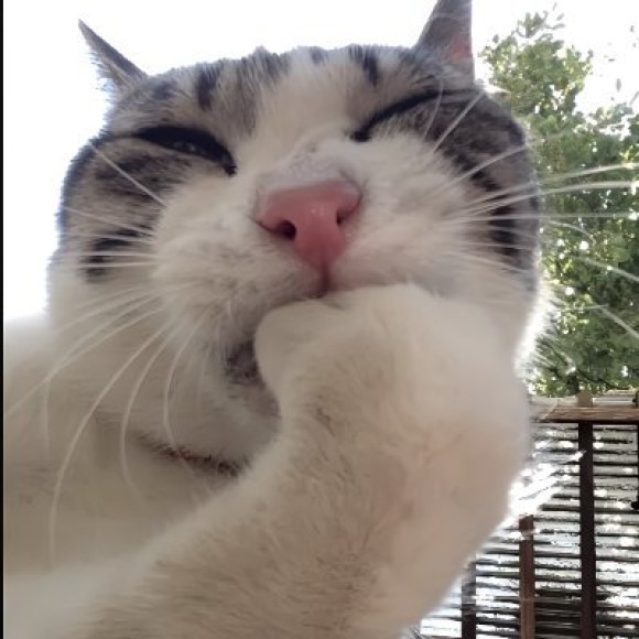 Profile photo of jason