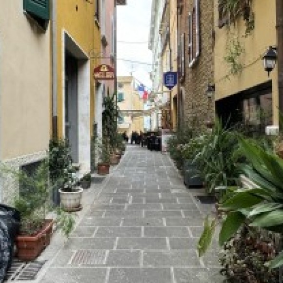 Profile photo of Sam Mansion