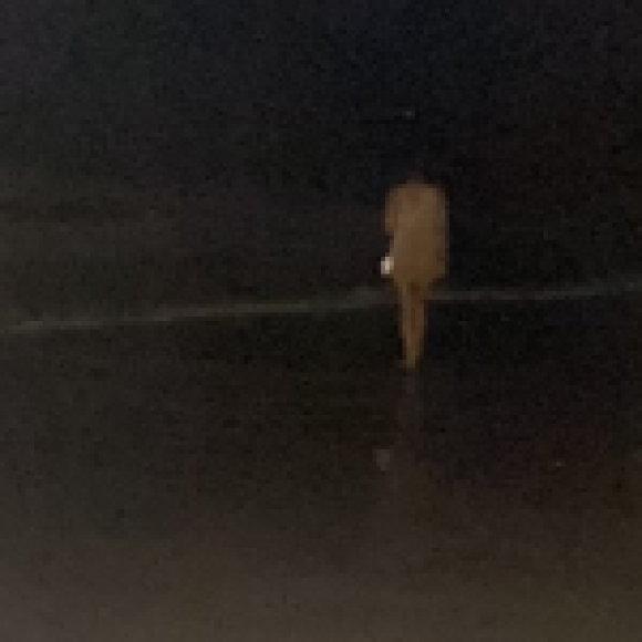 Profile photo of Tati