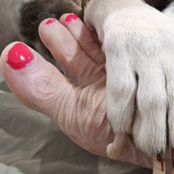 Profile photo of Celia