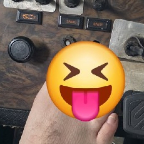 Profile photo of Anything you want