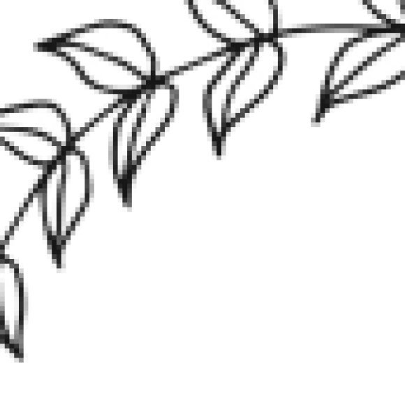 Profile photo of Shara
