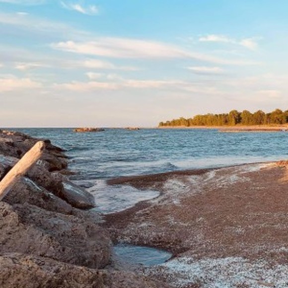 Profile photo of Cassandra Langdon