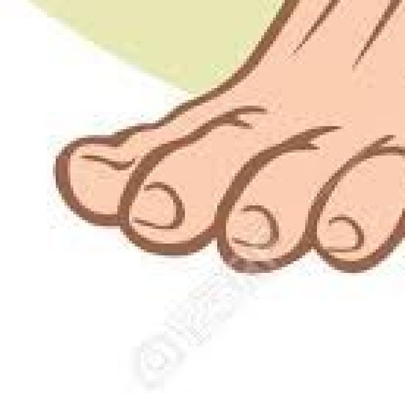 Profile photo of Paires-de-pieds