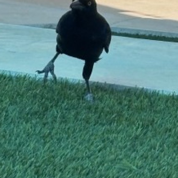 Profile photo of Mimis