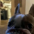 Profile photo of Aspen