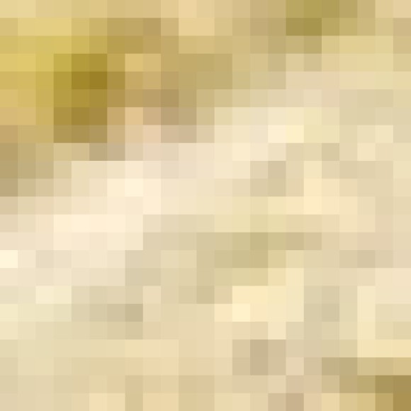 Profile photo of Megan