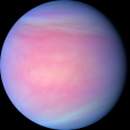 Profile photo of Venus