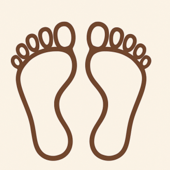 Profile photo of The New Feet