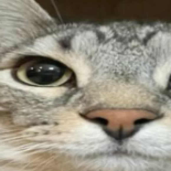 Profile photo of teeeeddddddddd