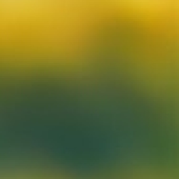Profile photo of Hayley Williams