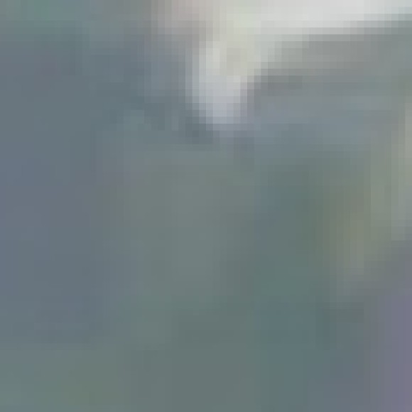 Profile photo of Mrtasteurfeet