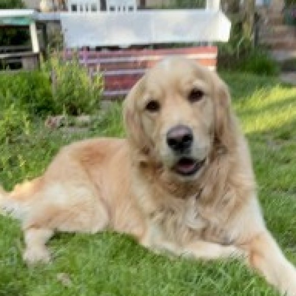 Profile photo of Aleksandra