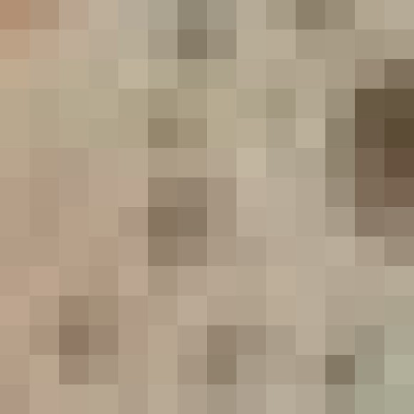Profile photo of Sha