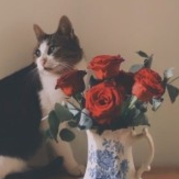 Profile photo of Mariana