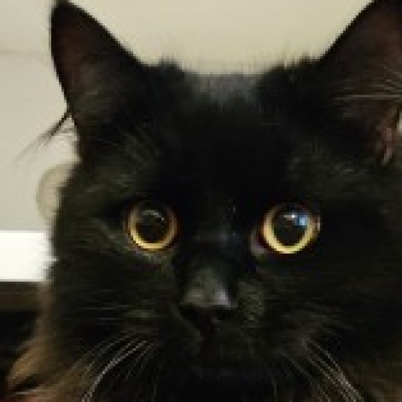 Profile photo of Dia Na