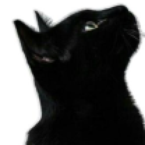 Profile photo of solaris