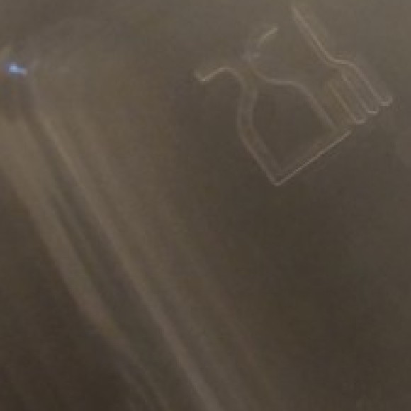 Profile photo of Dennis