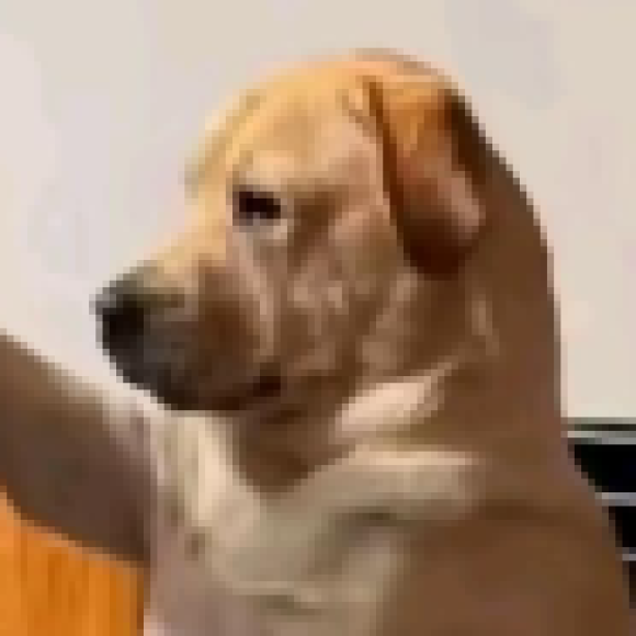 Profile photo of LlIls