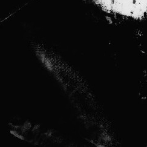 Profile photo of B