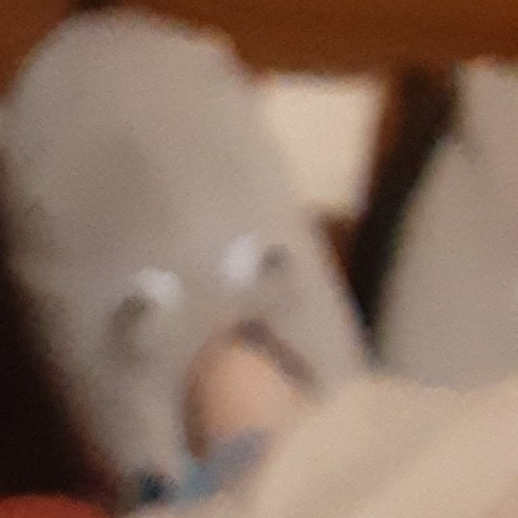 Profile photo of SG