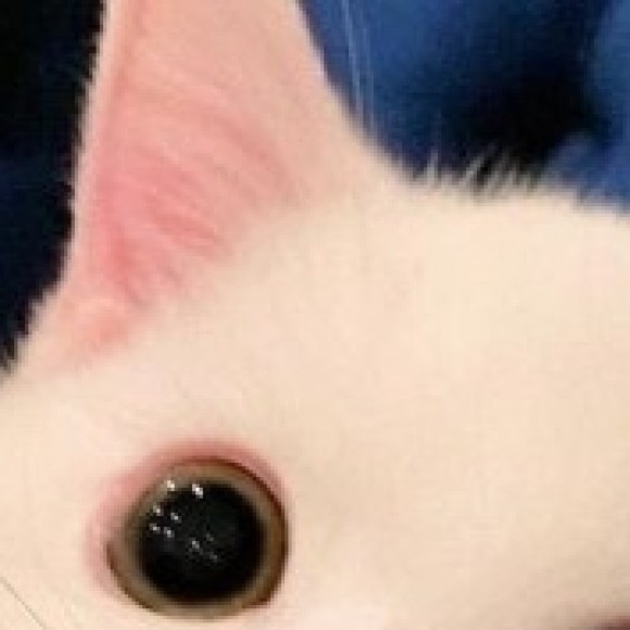 Profile photo of sachiko